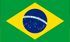 Brazilian Flag